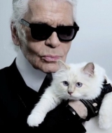 ���������� ���� ���� ����� � ������� ������ Shu Uemura