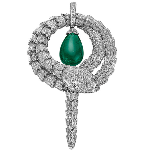 � ���� �����