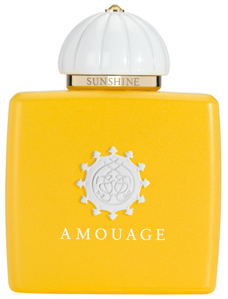 ��������� ����