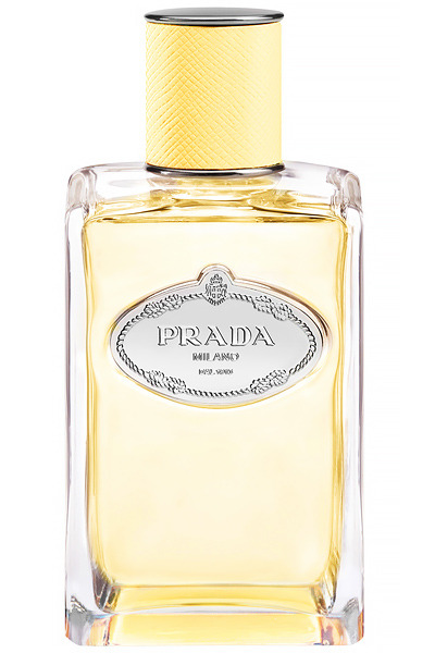  Infusion de Mimosa c     